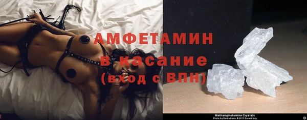 прущие грибы Аркадак