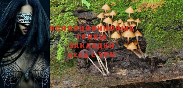 экстази Арсеньев
