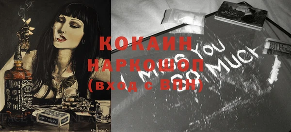 индика Заволжск