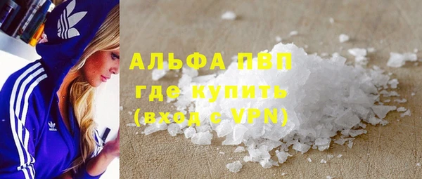 прущие грибы Аркадак