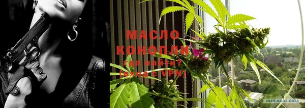 прущие грибы Аркадак
