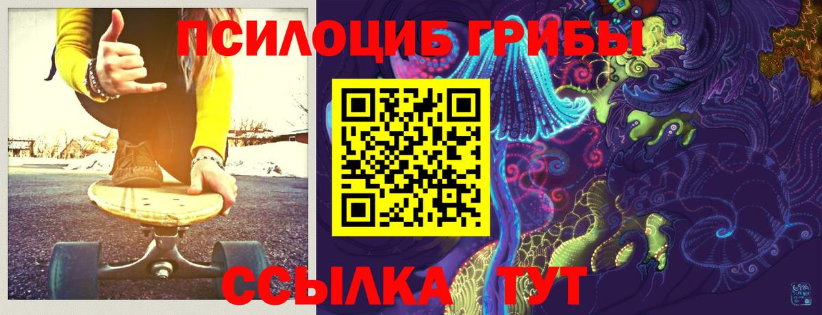 Псилоцибиновые грибы мицелий  Вход с VPN  где продают наркотики  Пушкино 