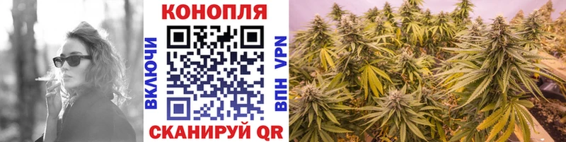 Каннабис тримм Пушкино